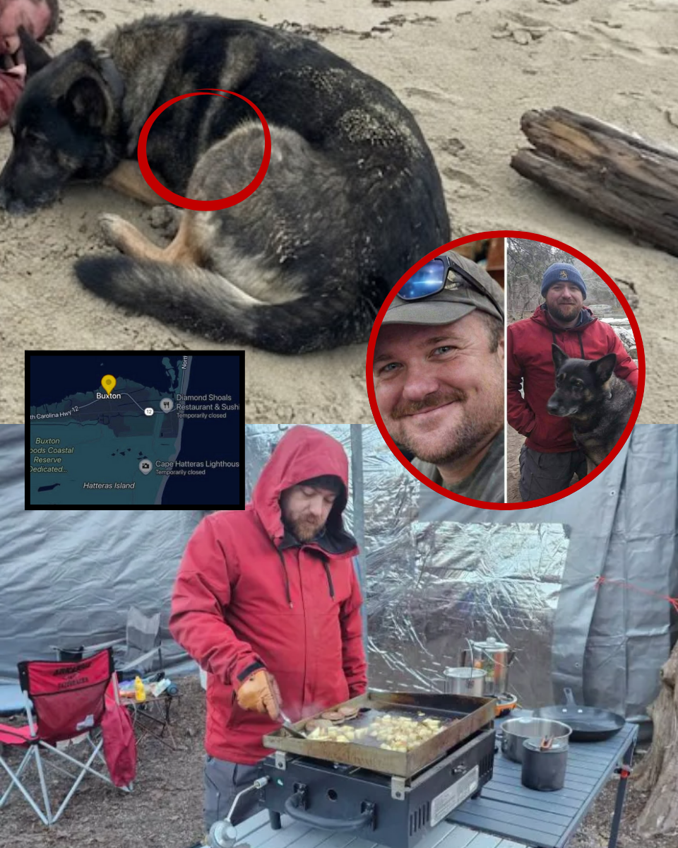 #BREAKING🚨 THE IMPOSSIBLE TWIST: Chris Palmer’s Dog Found 125 Miles Away from His Abandoned Truck. How Is This Even Possible?