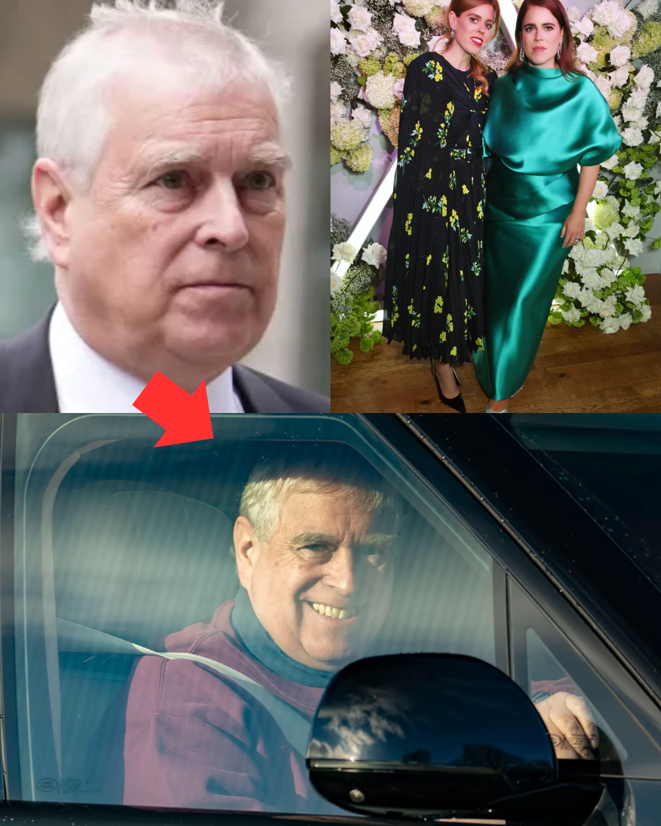 ANDREW’S CHRISTMAS ‘SPY’ PLOT: Shamed Duke ‘ordered’ Beatrice and Eugenie to join King Charles at Sandringham to act as HIS ‘eyes and ears’ – as he desperately hunts for secrets to save his Royal Lodge home