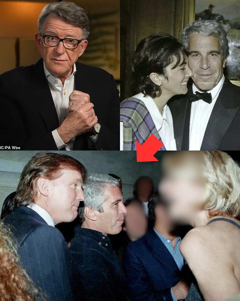 ‘I’M ***, HOW COULD I HAVE KNOWN?’ Lord Mandelson sparks FU;RY as he refuses to apologise to Epstein’s v;ict;i;ms – cla;im;ing his s3xuality meant he was ‘blind’ to the ‘elvil mo;nster’s’ v;ile de;pra;vity;