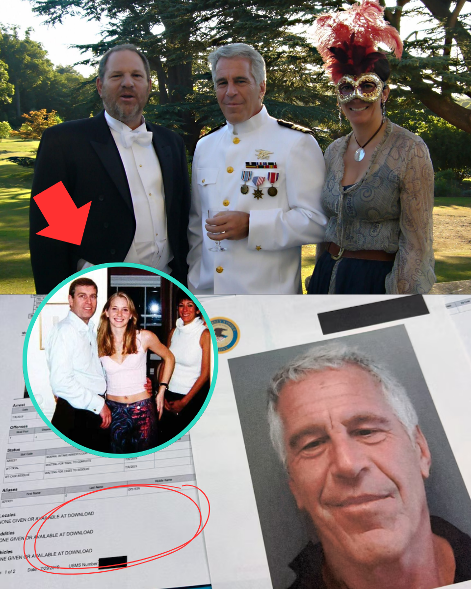 “I’ll ring you when I get down” – THE PALACE GUEST LIST FROM HELL: EPSTEIN, ANDREW, AND “THREE WOMEN”