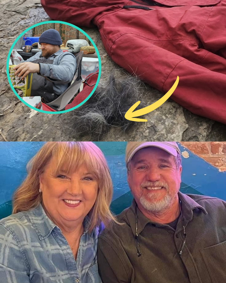 $10 MILLION FOR HIS LIFE: The Chilling Ransom Text Sent From Christopher Palmer’s Own Phone.