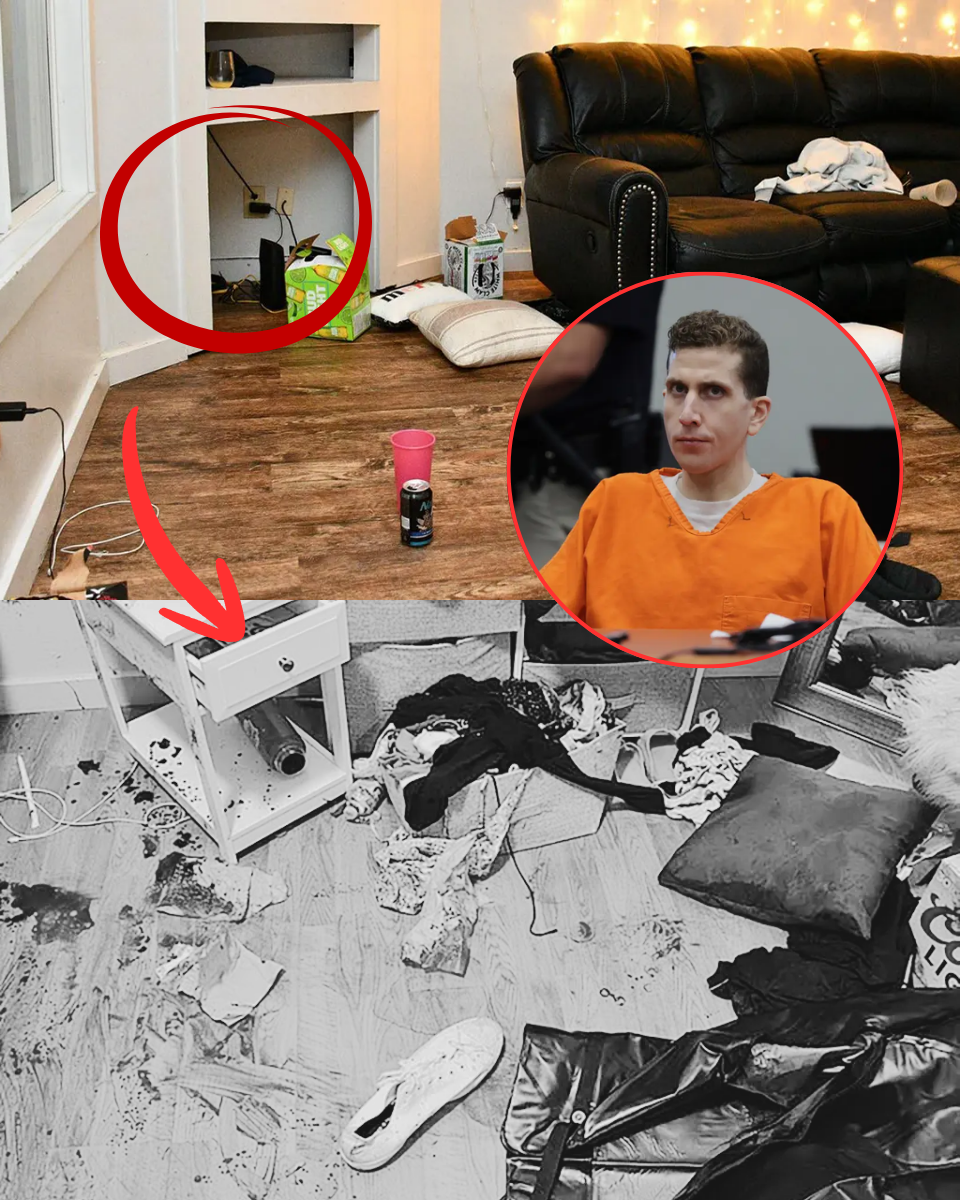 INSIDE THE HOUSE OF HORRORS! Stomach-churning new Idaho 4 crime scene photos leaked showing ‘blood-soaked’ rooms – as police reveal the REAL reason they frantically pulled the grisly images offline and families blast ‘pure evil’ betrayal