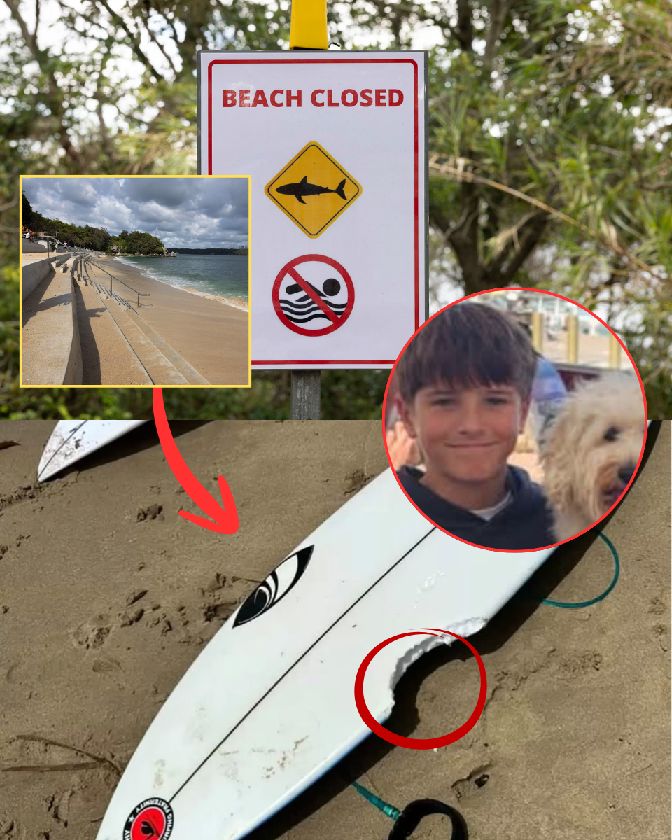 HEARTBREAK IN SYDNEY: The 12-Year-Old ‘Little Hero’ Who Fought Until the Very End.