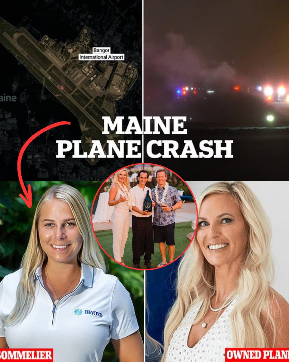 The Price of Perfection: Why a Star Sommelier and an Elite Team Risked a Flight to Paris.