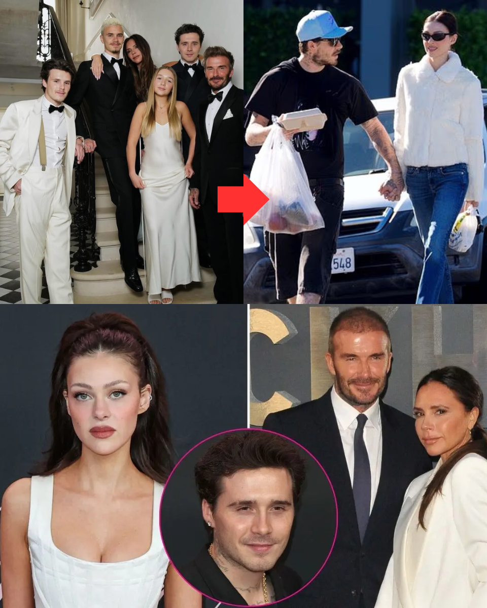 FEUD REIGNITED! Nicola Peltz ‘declares WAR’ on Posh and Becks as billionaire heiress is caught ‘LIKING’ scathing social media comments attacking her famous in-laws… while ‘torn’ Brooklyn is caught in the crossfire