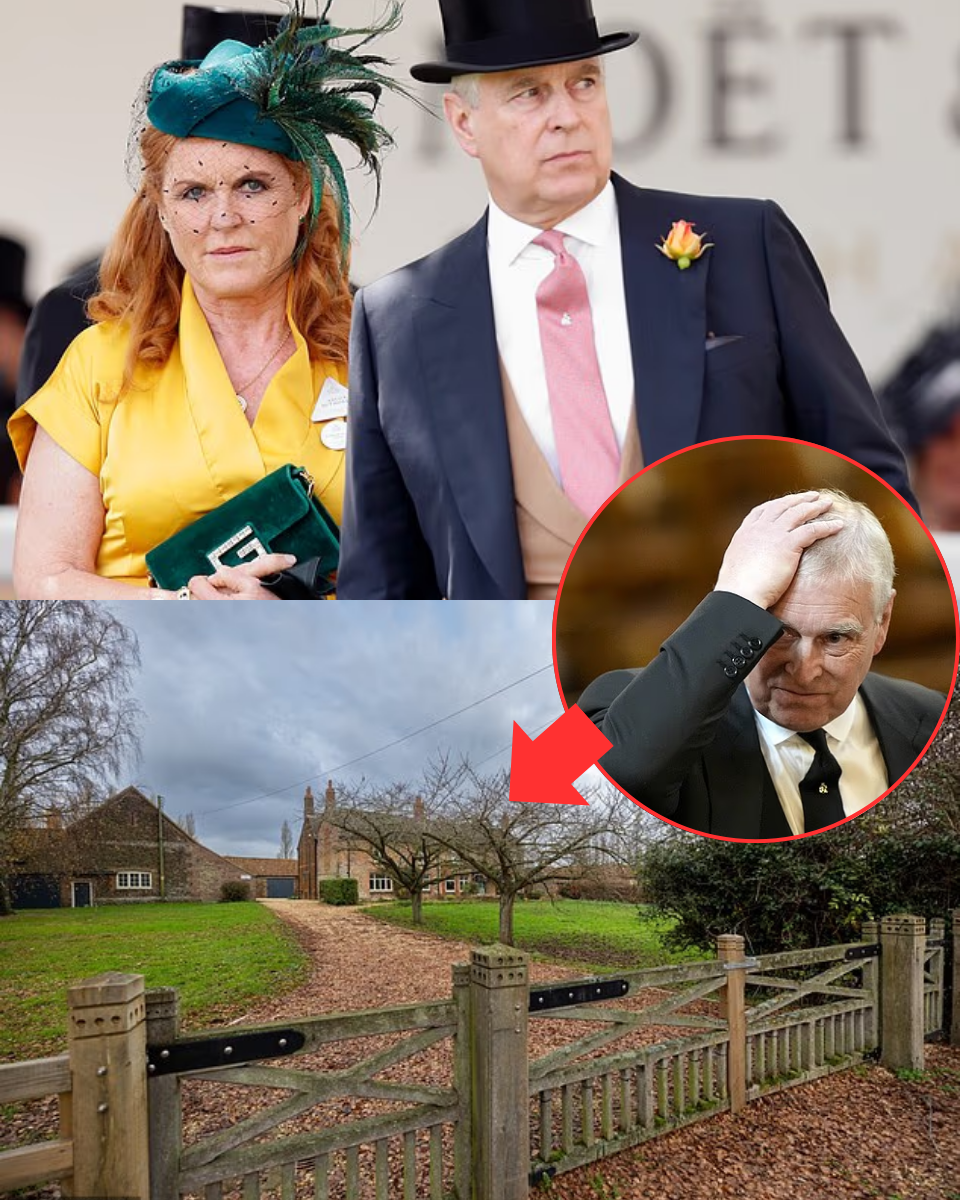 Disgraced Andrew ‘Mountbatten-Windsor’ in frantic race to vacate 30-room Royal Lodge as King Charles sets brutal January 31 deadline — while ‘pig-headed’ ex-Prince is accused of ‘pawn shop’ plot to sell off royal heirlooms?