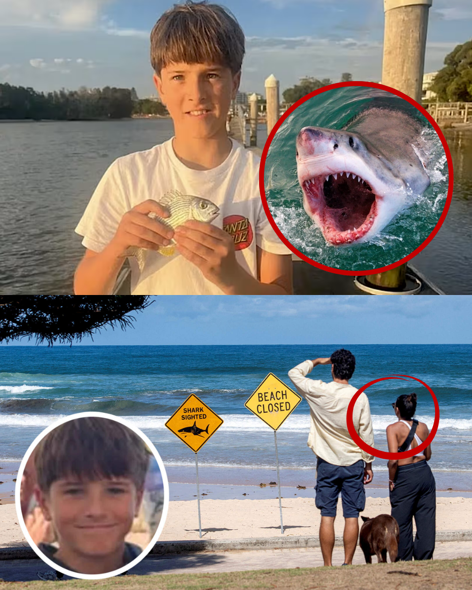 “They knew! They let him go in anyway!” – THE SCREAM THAT SHATTERED SYDNEY: Nico Antic’s Mother Collapses After Witness Reveals a “Deadly Secret” at the Casket.