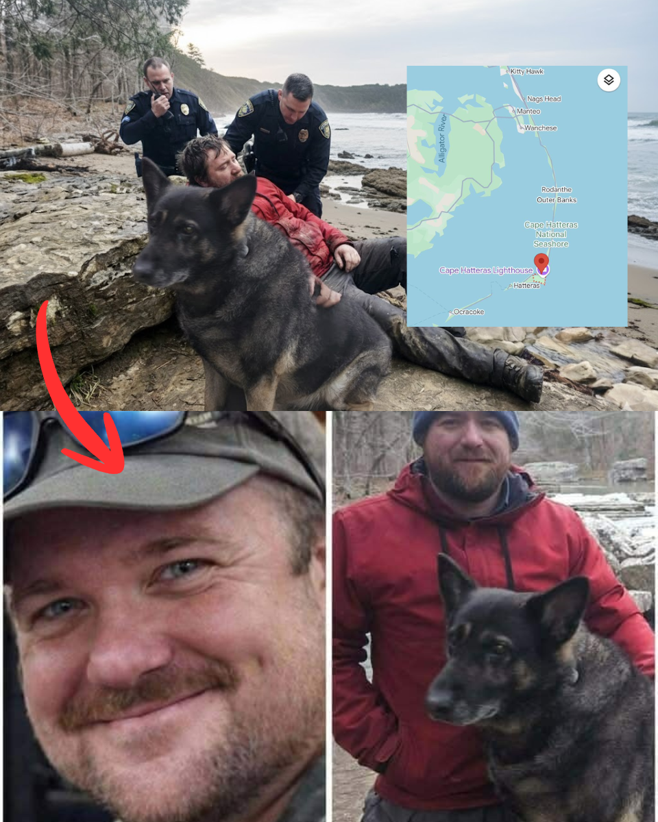 “It looked like a struggle, not a launch,” – THE KAYAK KILLER? Fears missing hiker Chris Palmer was MURDERED and his disappearance staged as a tragic accident after surveillance footage reveals ‘disturbing’ new clues