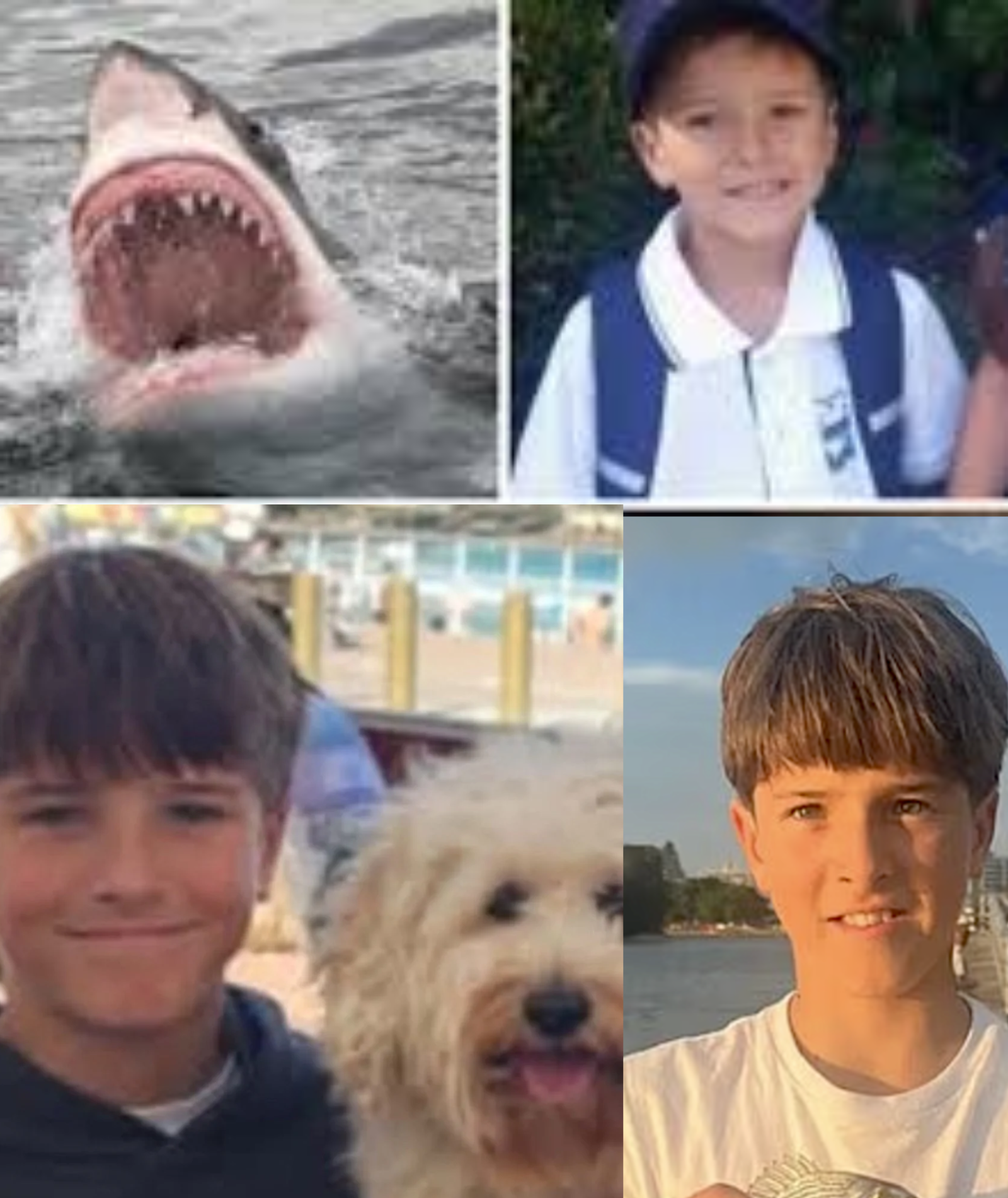 BREAKING: His phone was found containing a CRUCIAL two-minute audio recording after 12-year-old Nico Antic di;;ed in hospital following a shark att;;;ack in Sydney