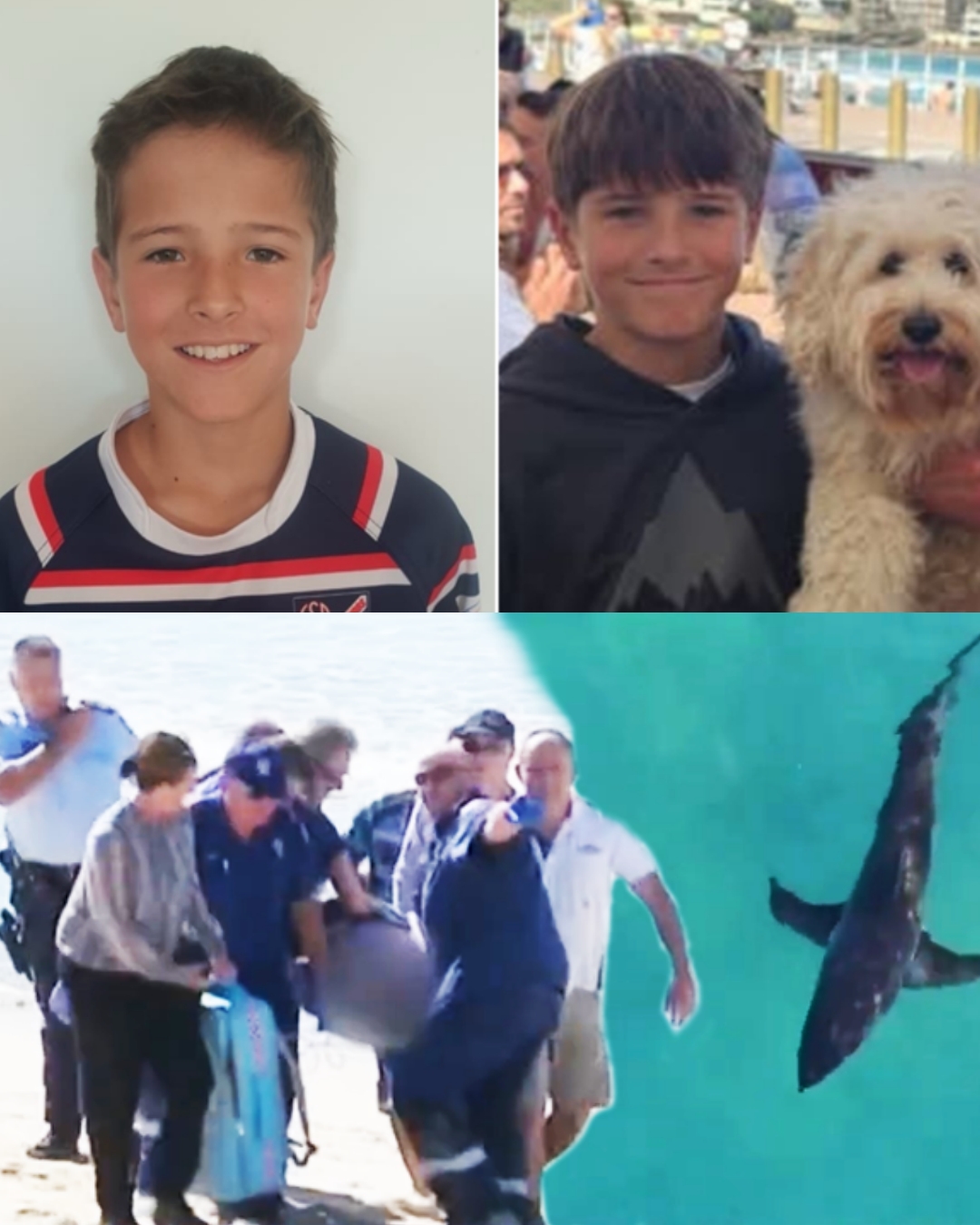 HE SAVED HIS LIFE: A 15-Year-Old Boy Dove Into Shark-Infested Waters to Rescue Nico — A Brave, Instinctive Act That Left a Young “Hero” Carrying a Lifetime of Shock and Scars…