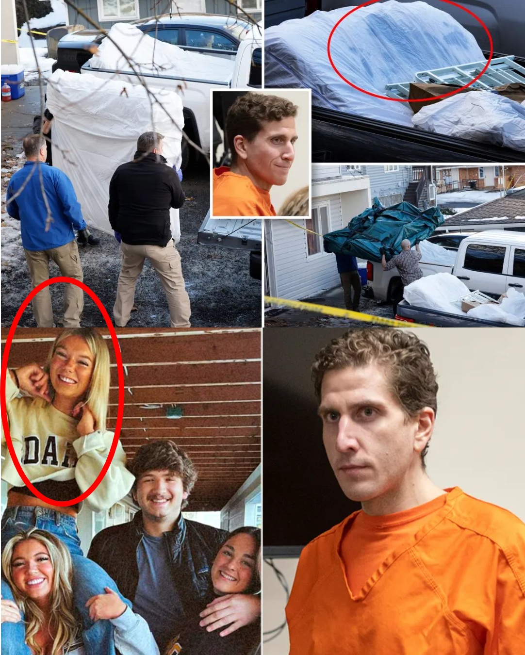 Decoding the Idaho Murder Scene: Why Are Evidences of Resistance Key?