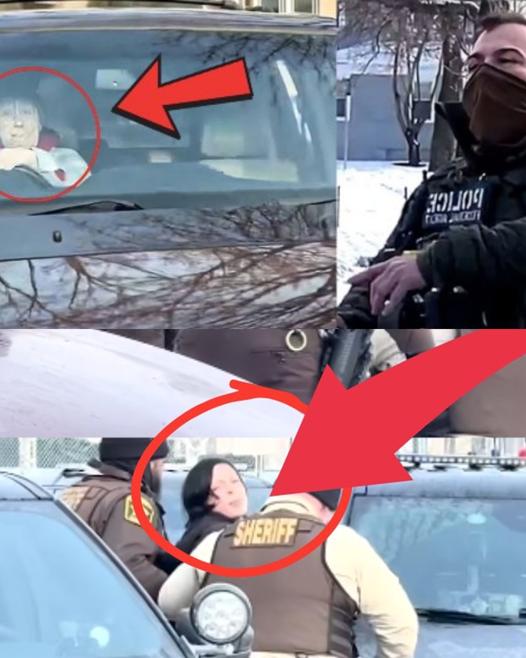 Investigative agency reports the latest news on Renee Good’s parents: Did Tim and Donna Ganger attack the police to take revenge after their daughter’s incident?