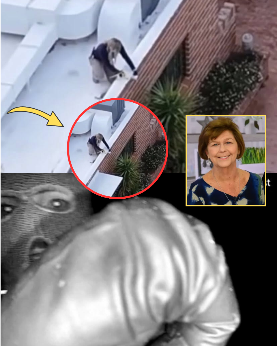 LIVE BREAKING ๐จ FBI Recovers โInaccessibleโ Images of Masked Intruder from Smashed Nest CameraโBackend Data Just Reveal Nancy Guthrieโs Abductor IS….