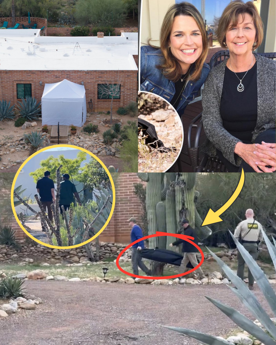LATEST RIGHT NOW: Investigators Carry a Body Bag from Nancy Guthrie’s Home Under the Cover of the White Tent—Is This the End of the 13-Day Hunt?