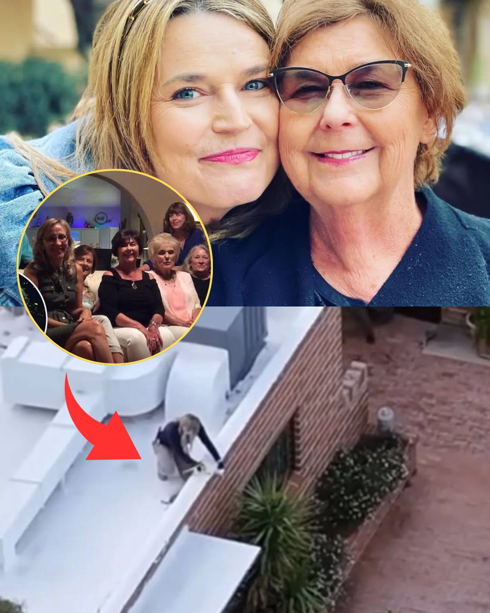 Just 1min ago! THE ROOFTOP CLUE! FBI Recovers ‘Forgotten’ Nest Camera from Savannah Guthrie’s Mother’s Home — As ‘Event-Based’ Footage Offers New Hope in 7-Day Kidnap Nightmare!