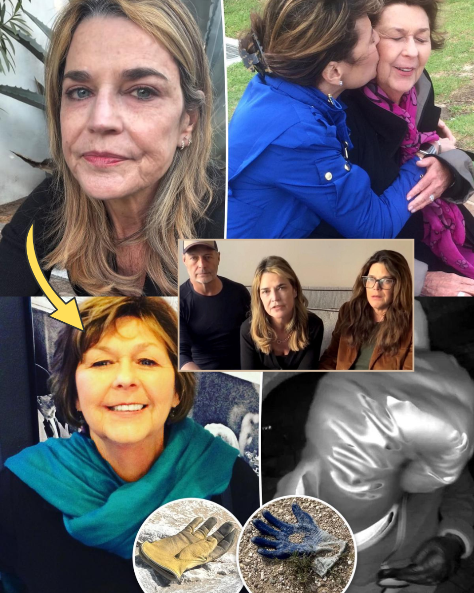 UPDATE: SHATTERED ON LIVE TV! Savannah Guthrie Breaks Down on Day 16 to Reveal the TRUTH Behind the ‘Black Glove’ DNA—It Was an INSIDE JOB!