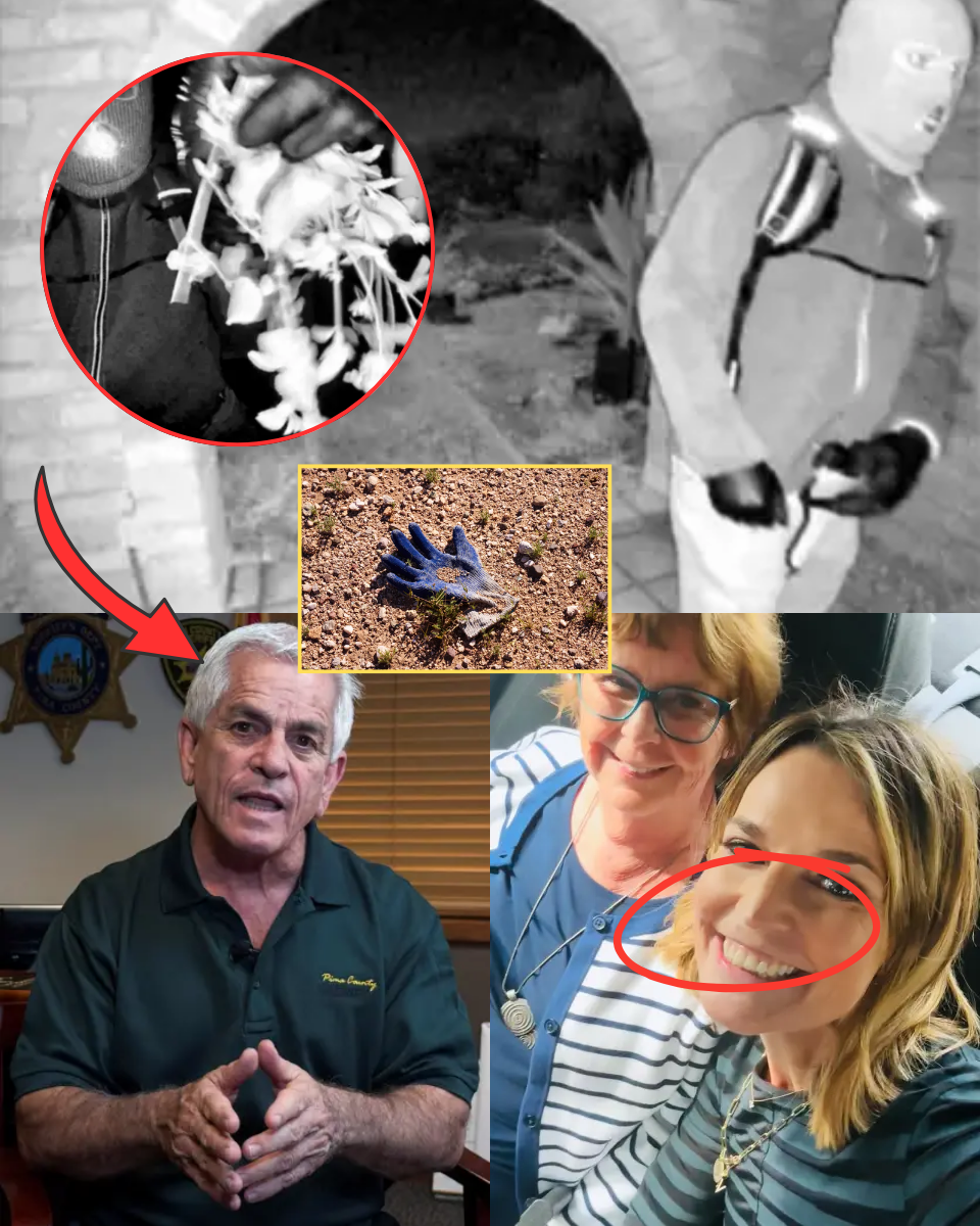 SHOCKING UPDATE: Why Sheriff Nanos Ruled Out Burglary in Nancy Guthrie Abduction—The Chilling Evidence That It Was a PLANNED BETRAYAL by…