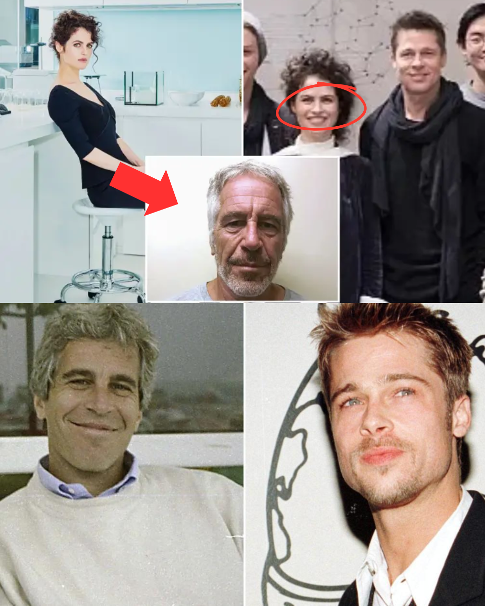 THE EPS:TEIN-PITT CON;NECTION: How a Controversial Artist Tied the P3:dophi:le Billio;naire to the World’s Bigg;est Movie Star