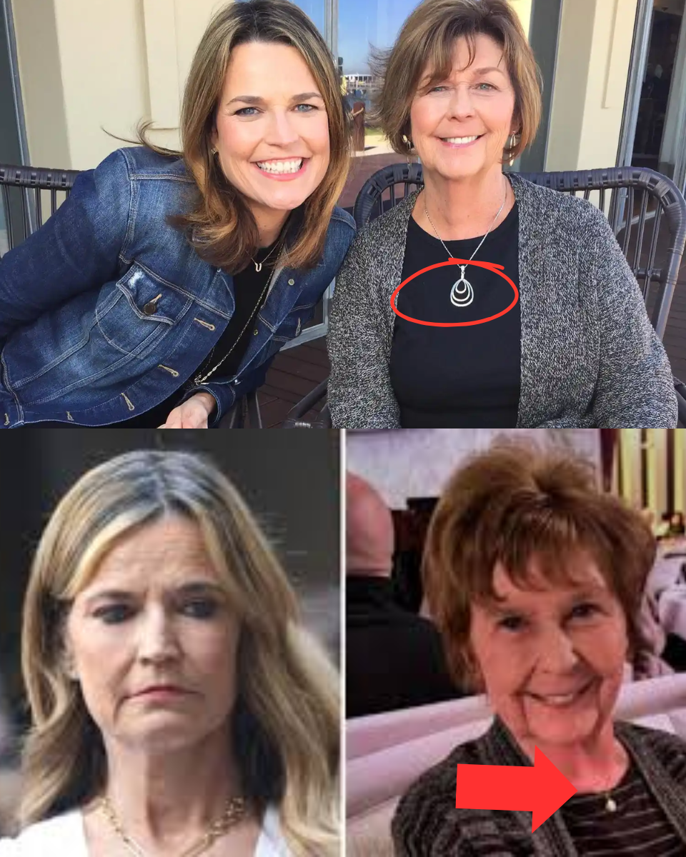 1 MIN AGO – HORR;OR AS CLUE FOUND! HORROR AS CLUE FOUND! Police Uncover ‘Disturbing’ Evidence in Search for Savannah Guthrie’s Missing Mother…