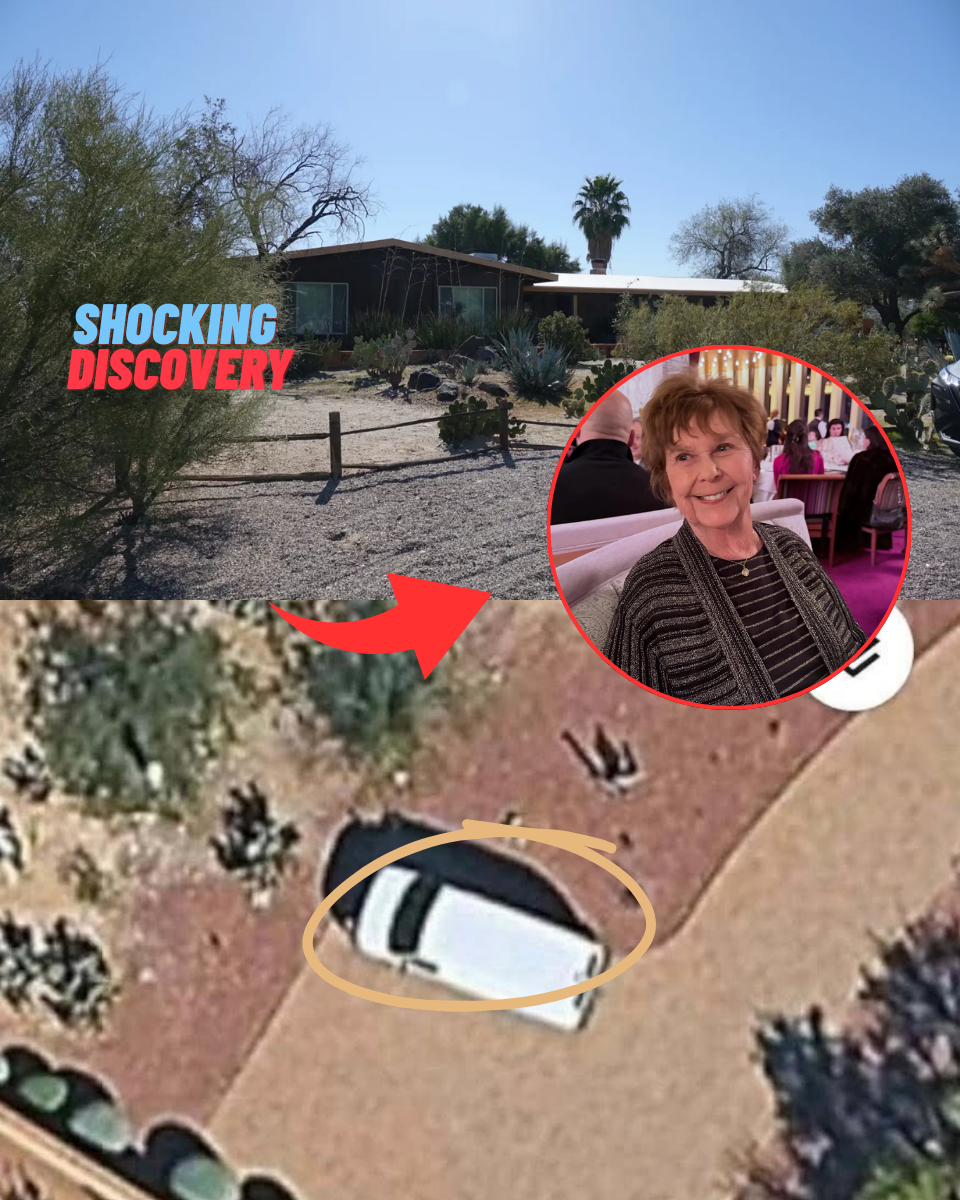 CAUGHT ON SATELLITE! Go;ogle Ma;ps Hunter Spots ‘Suspicious’ White Van Hidden in Wooded Driveway Near Guthrie Home as 7-Day Search Is Exposed as a Sham!