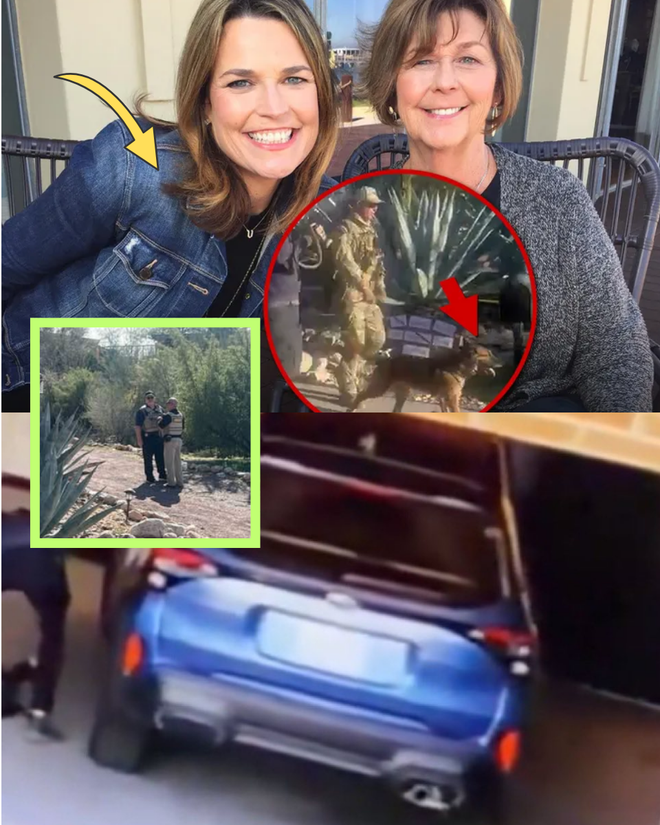 How Annie Guthrie’s Consent Search Could Shatter the ‘Septic Tank’ Theories