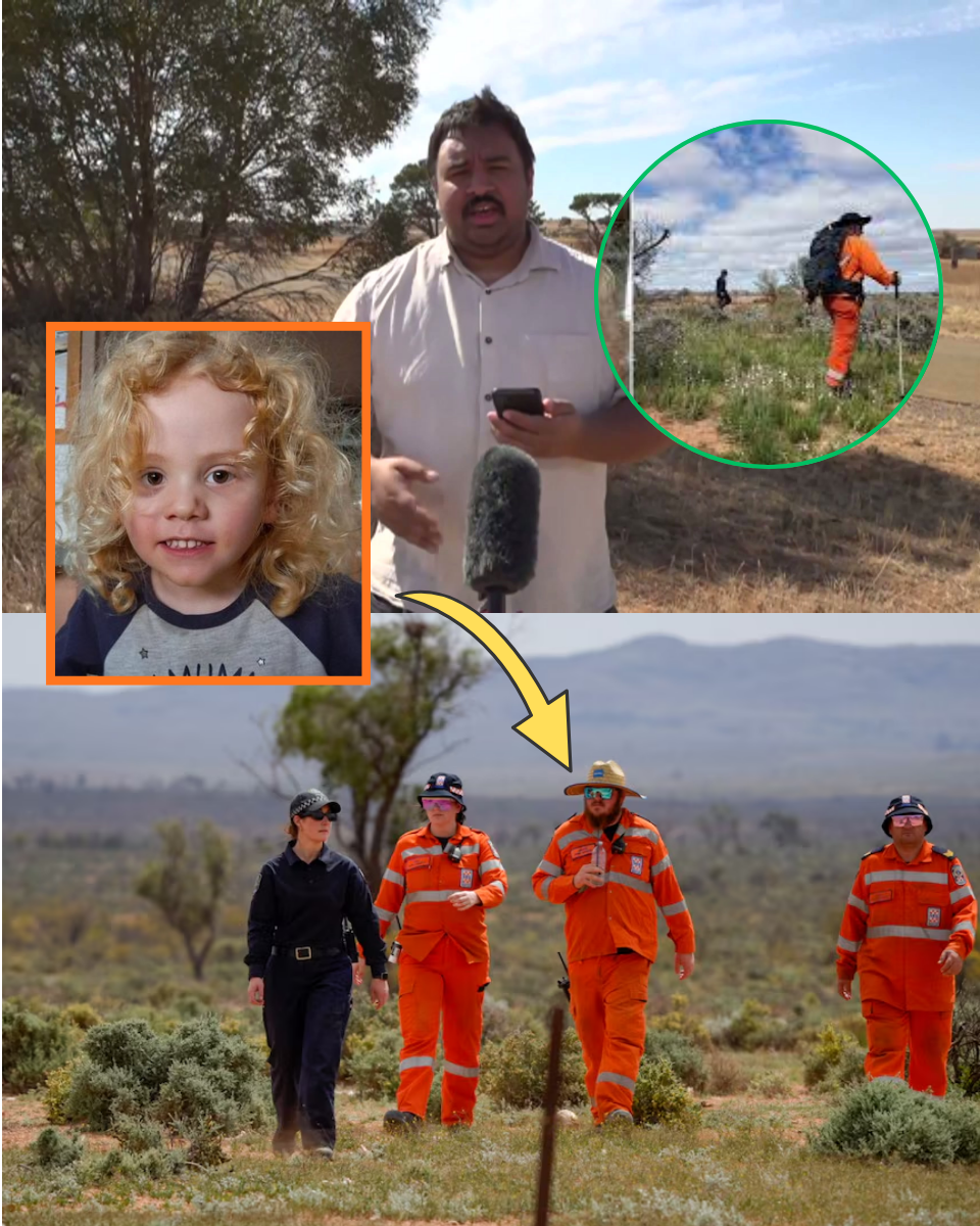 LATEST: The Real Reason Police Identified A Secret Suspect In The Gus Lamont Mystery While The Search For A Miracle Ends In Tragedy…