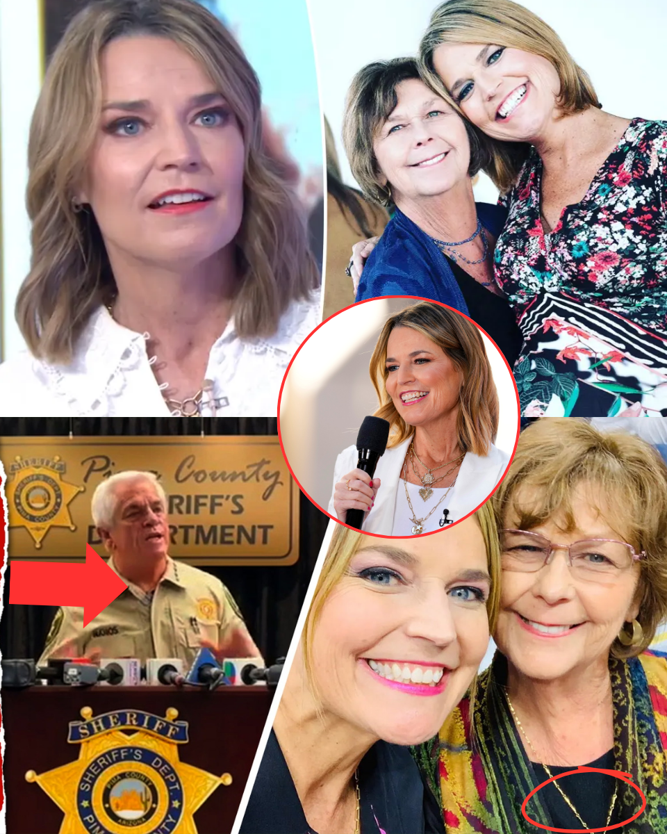 NE;IGHB;OR’S BOM;BSHELL: ‘I Saw The Van!’ Witnesses Describe Mysterious Unmarked Vehicle Stalki;ng;; Nancy Guthrie’s Driveway For DAYS Before She Vanished