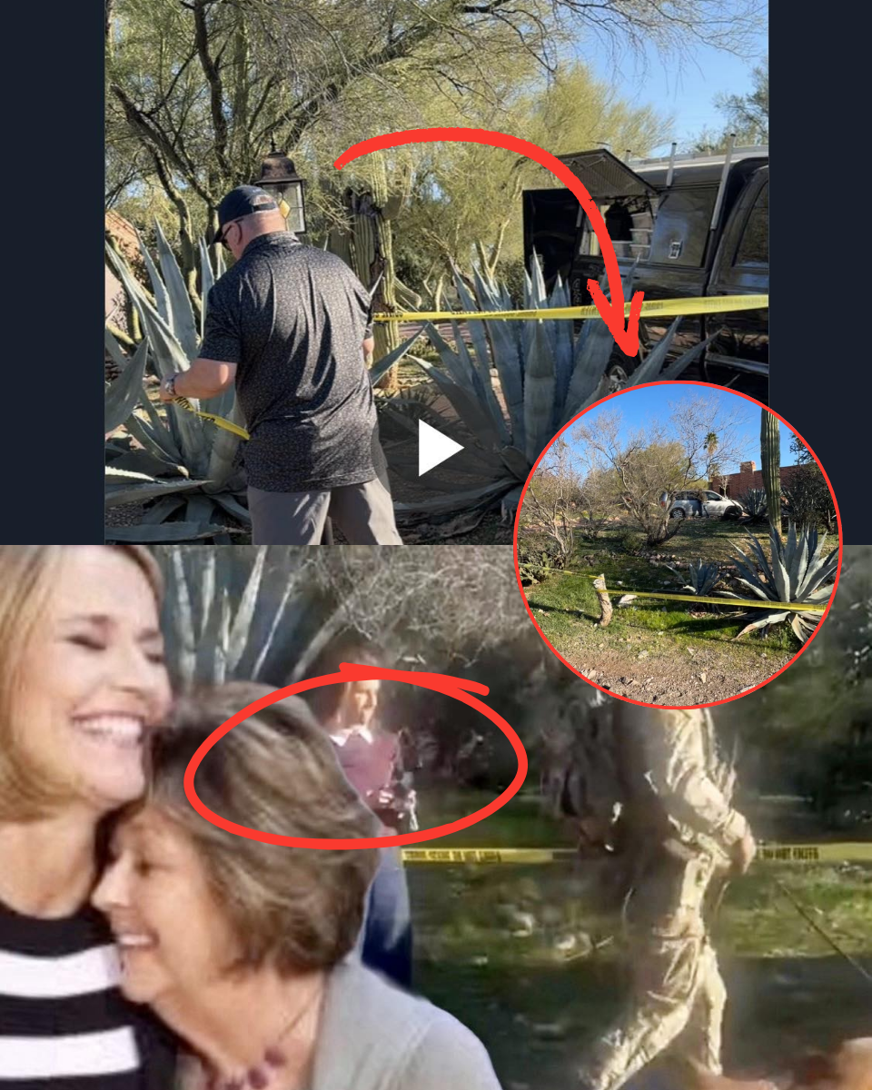 Smashed Cameras and Seized Cars Point to a ‘Sinister Insider’ in Nancy Guthrie Abduction — While Savannah Stays Eerily Silent!