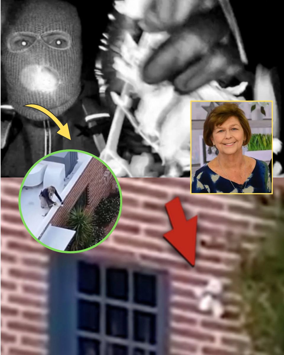 BREAKING NEWS: FBI Identifies Masked Intruder in Nancy Guthrie’s case…