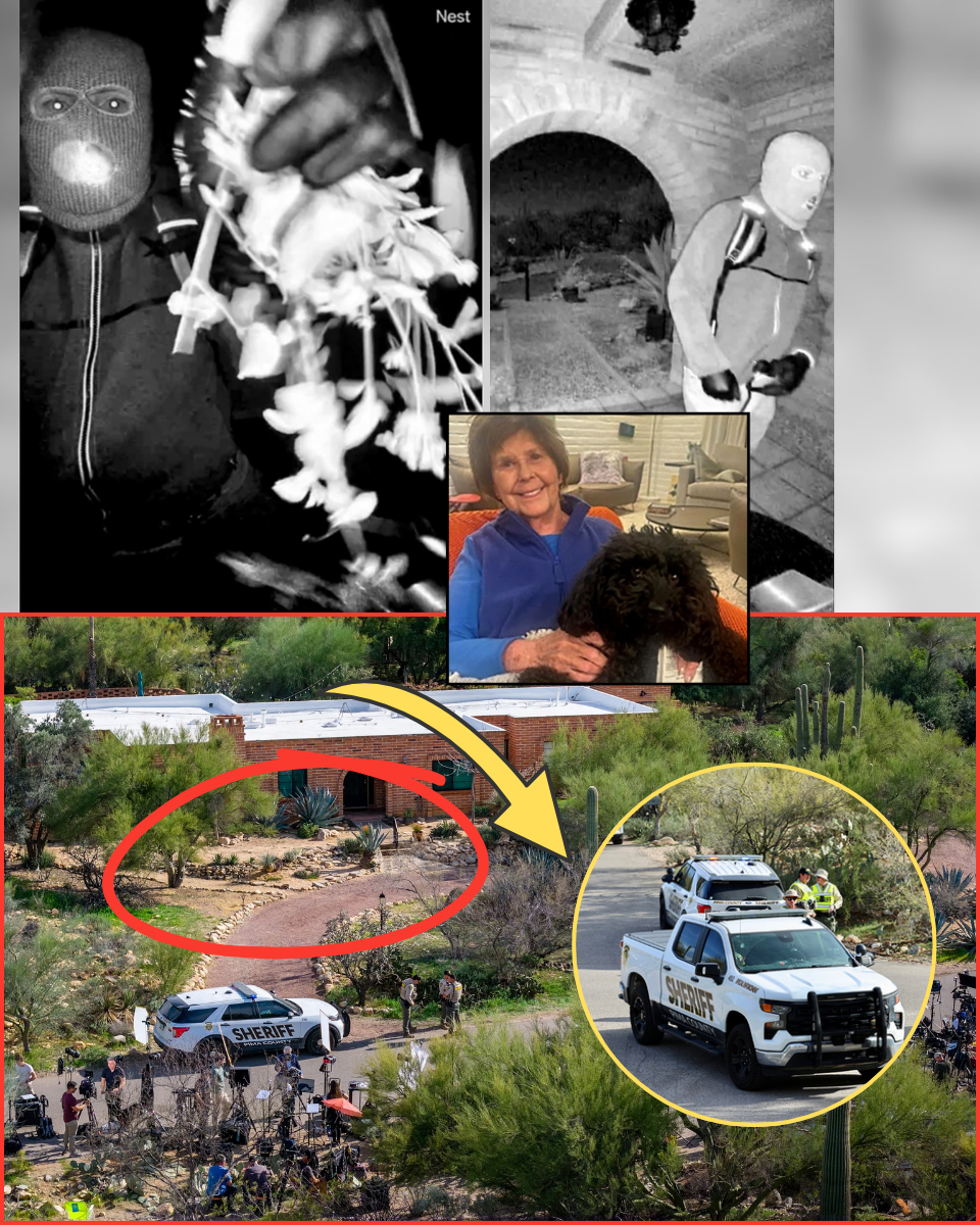 MASK OFF! First Person Detained for Questioning in Guthrie Abduction — Why the Suspect’s Identity has Left Savannah Guthrie and the FBI Speechless!