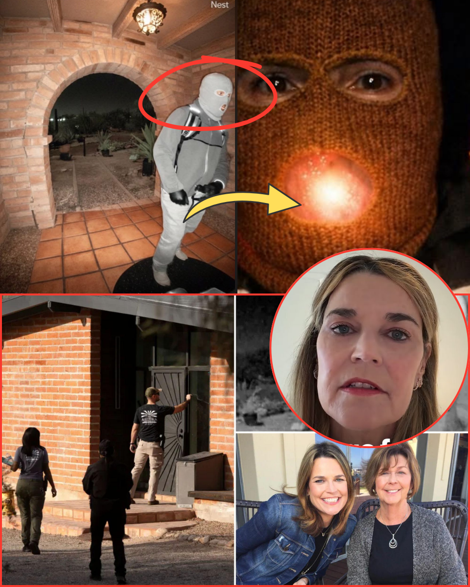 “SHE’S ALRE;ADY GO;NE”: The Sickening Final Statement from the Released Suspect That Has America Weeping for Savannah Guthrie…