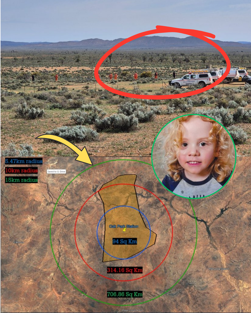 LIES, LE;AKS AND SILENCE: The Moment The Gus Lamont Search Turned Into A Mu;;rder Hunt As A Family Associate Is Named A Prime Suspect