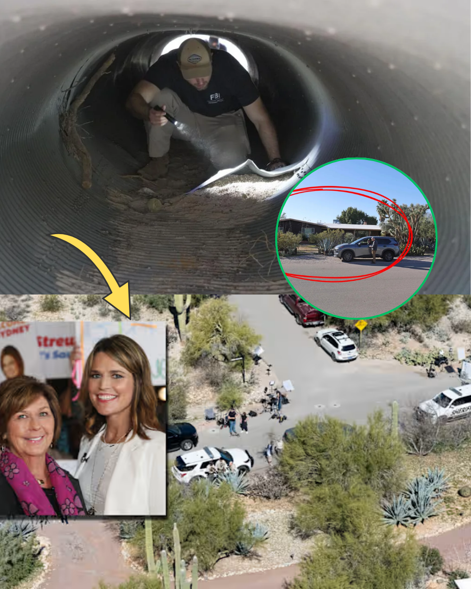 Right Now: Savannah Guthrie Wails in Agony as the Pima Police Investigation Implodes…