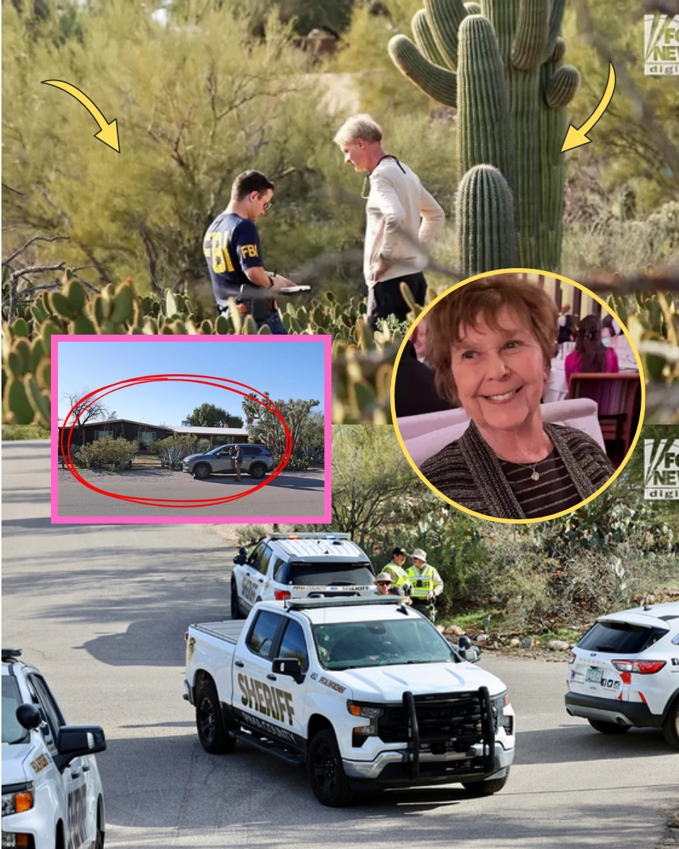 Why the FBI is Gridding the Arizona Ravines—Did the Kidnappers Use the Desert’s ‘Dead Zones’ to Hide Nancy Guthrie?