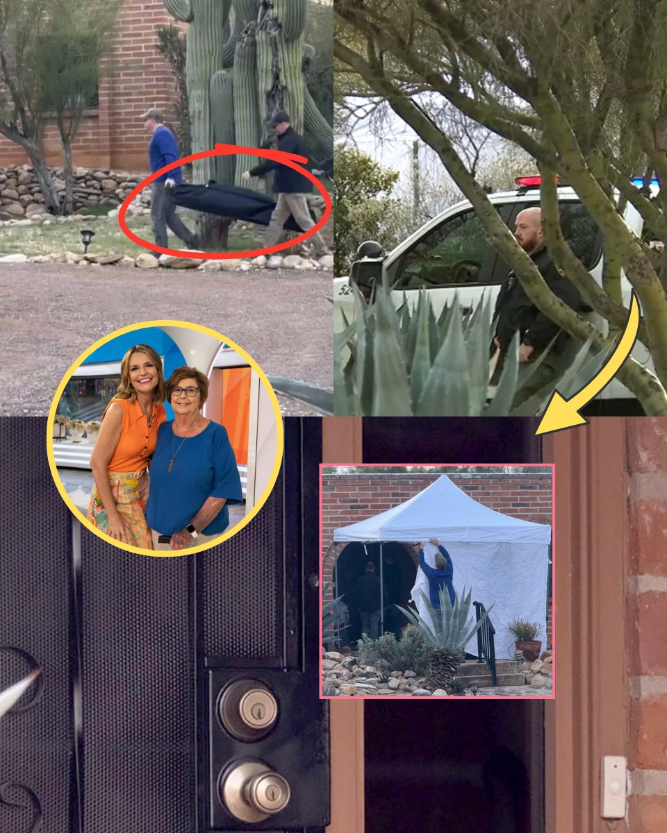 HIDDEN IN PLAIN SIGHT? FBI Found a Body Bag’s Cargo ONLY After Raising the White Tent—The Chilling Secret Nancy Guthrie’s Home Was Hiding…