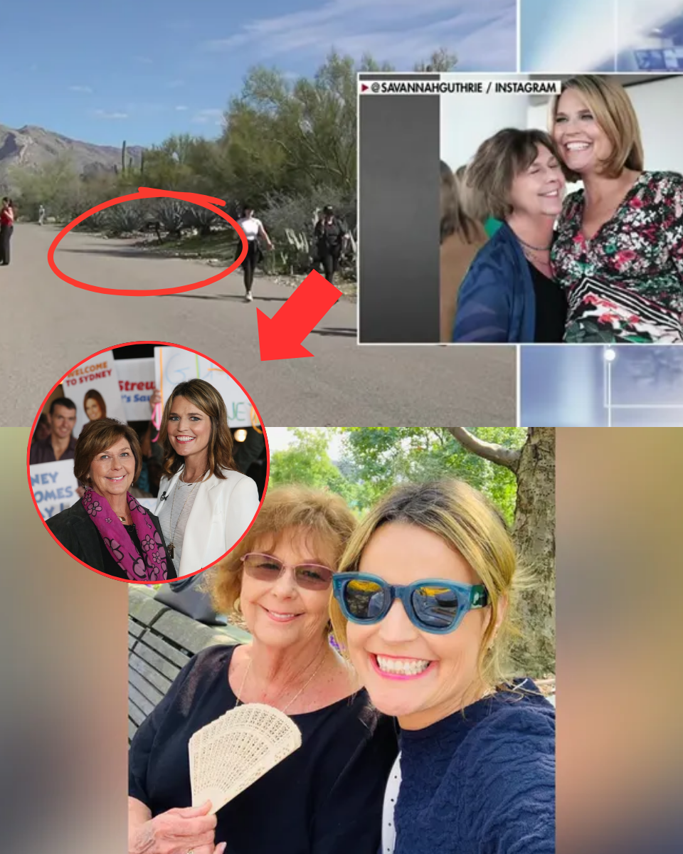 “SHE DID NOT LEAVE ON HER OWN ACCORD!” — Pima County Sheriff reveals ‘disturbing’ blood traces found in Nancy Guthrie’s master bedroom as forensic teams find signs of a violent struggle