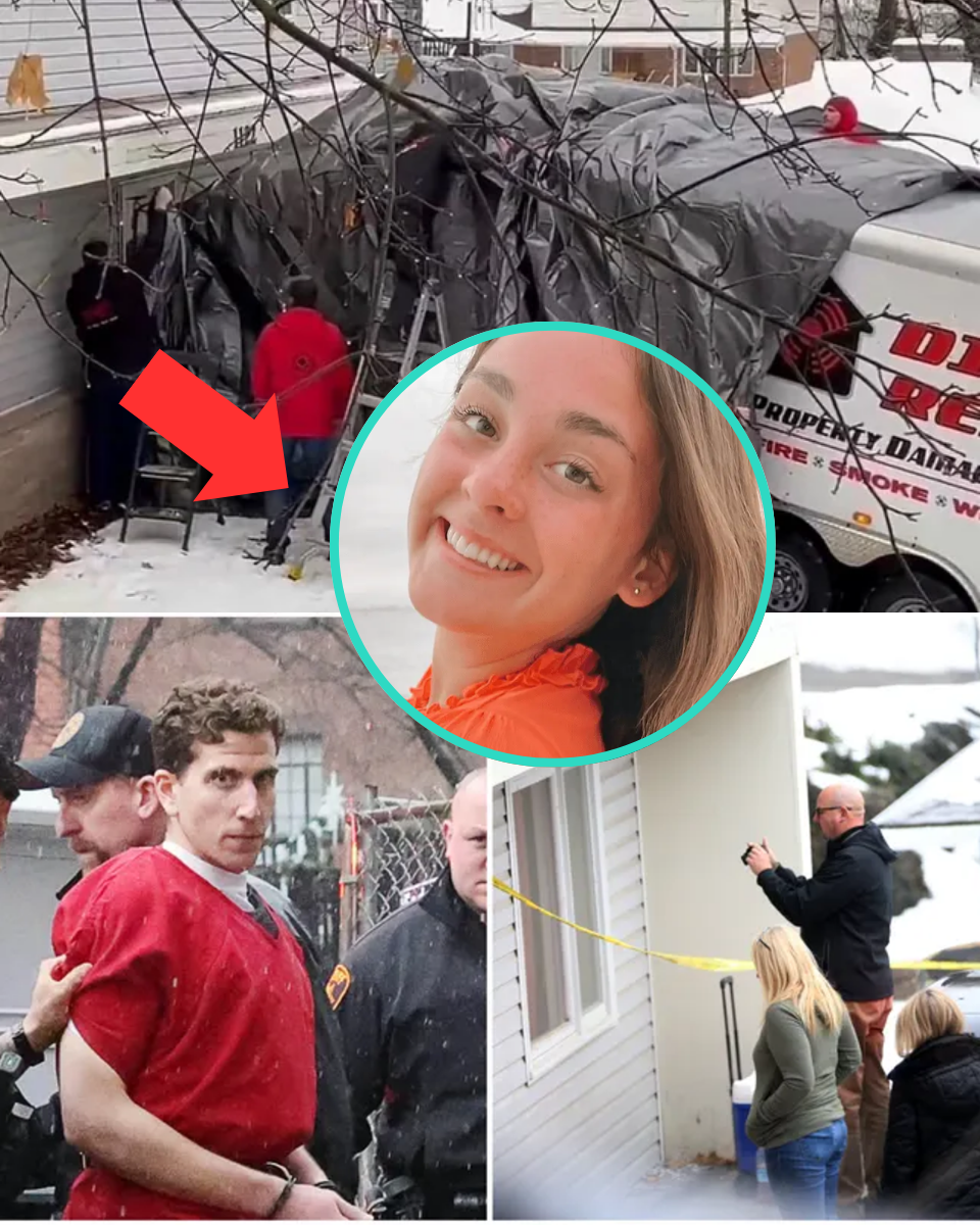 New reports detail the “violent struggle” that eventually led Bryan Kohberger to admit everything