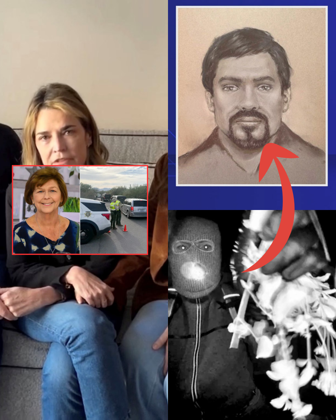 The portrait of the suspect in the disappearance of Nancy Guthrie has been released