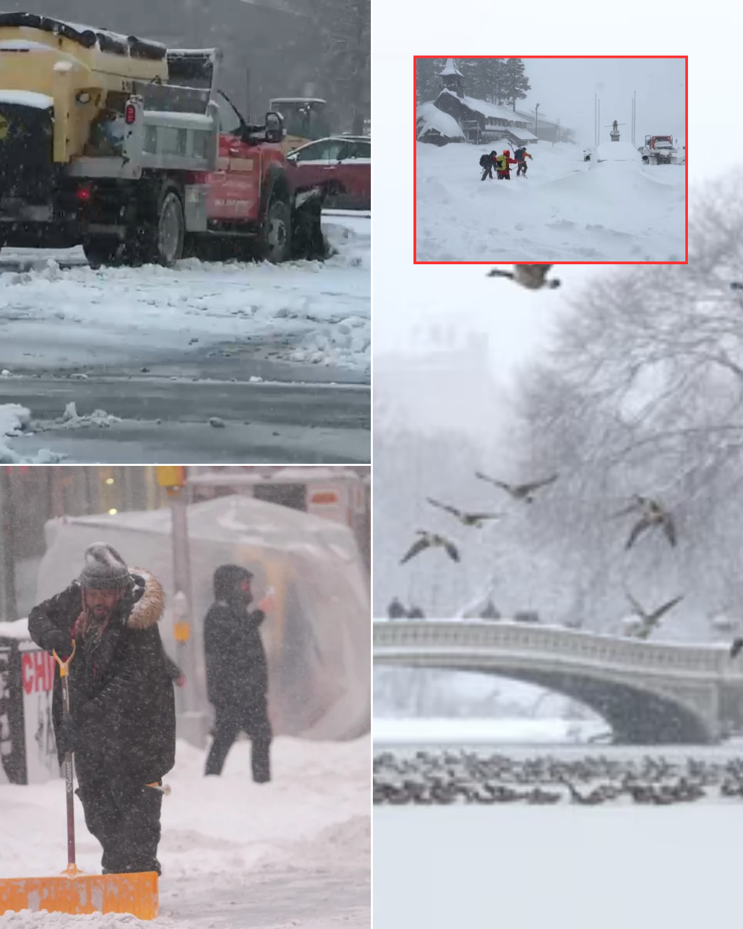 Urgent storm alert: These regions are expected to be hit by a historic blizzard, and residents are urged to evacuate immediately