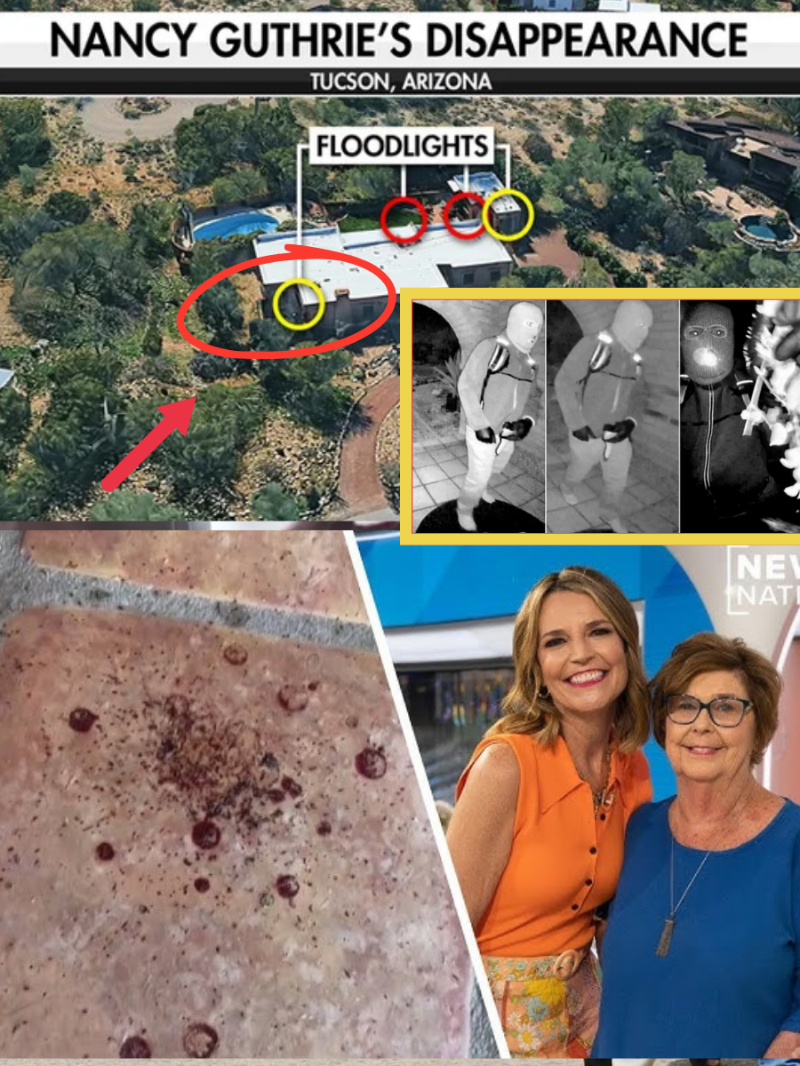 Not a Random Trail: Investigators Confirm the Pattern of Nancy Guthrie’s Blood Evidence Suggests Deliberate Movement — Ending at the Location Where She Was Being Held…
