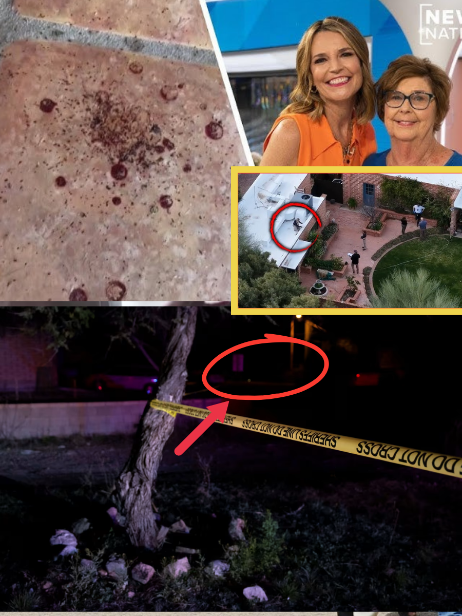 Too Close to Be Coincidence: Police Arrest a Person in Nancyโs Disappearance and Raid a House Just 100 Meters From Savannah Guthrieโs Home