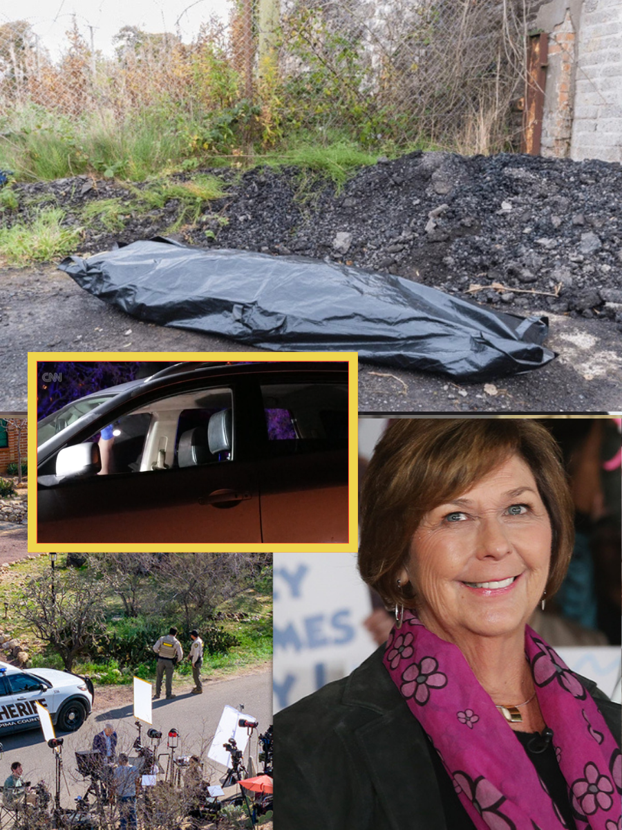 Early-Morning Search at Nancy’s Residence Draws Attention to a Remote Plot of Land