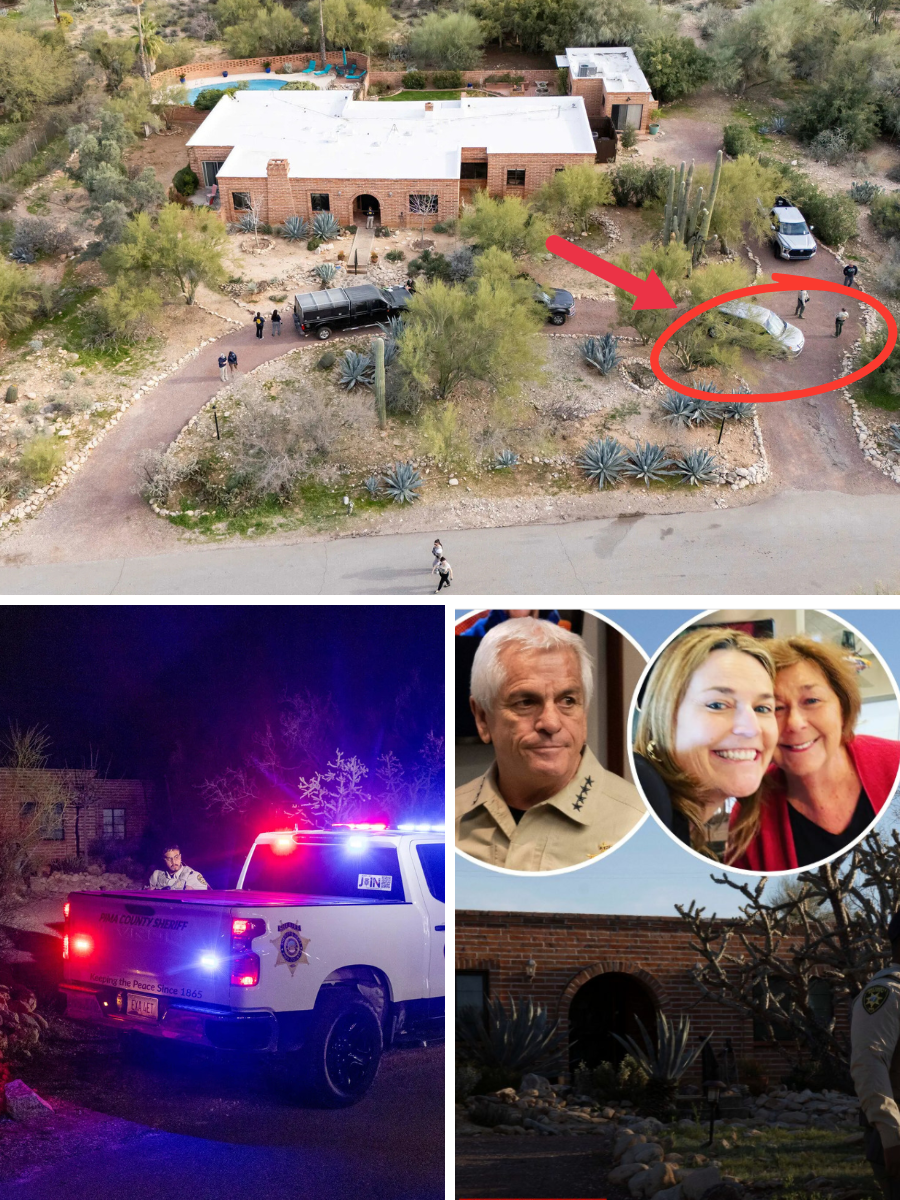 Nancy Guthrie Located in an Area Investigators Had Ruled Out — A Discovery That Reframes the Entire Search…