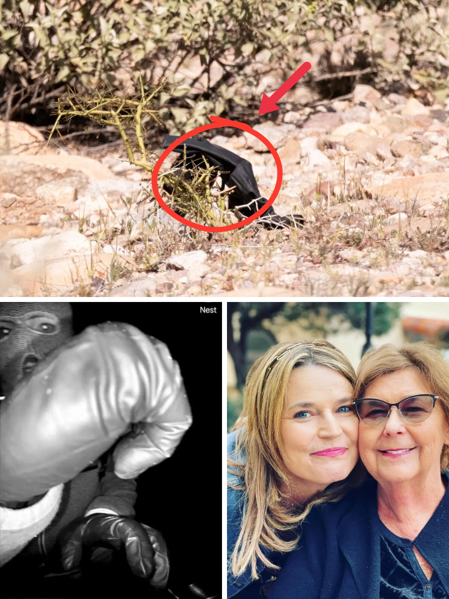 Evidence From a Single Black Glove Points to Its Owner as Authorities Advance the Nancy Investigation… 👇👇