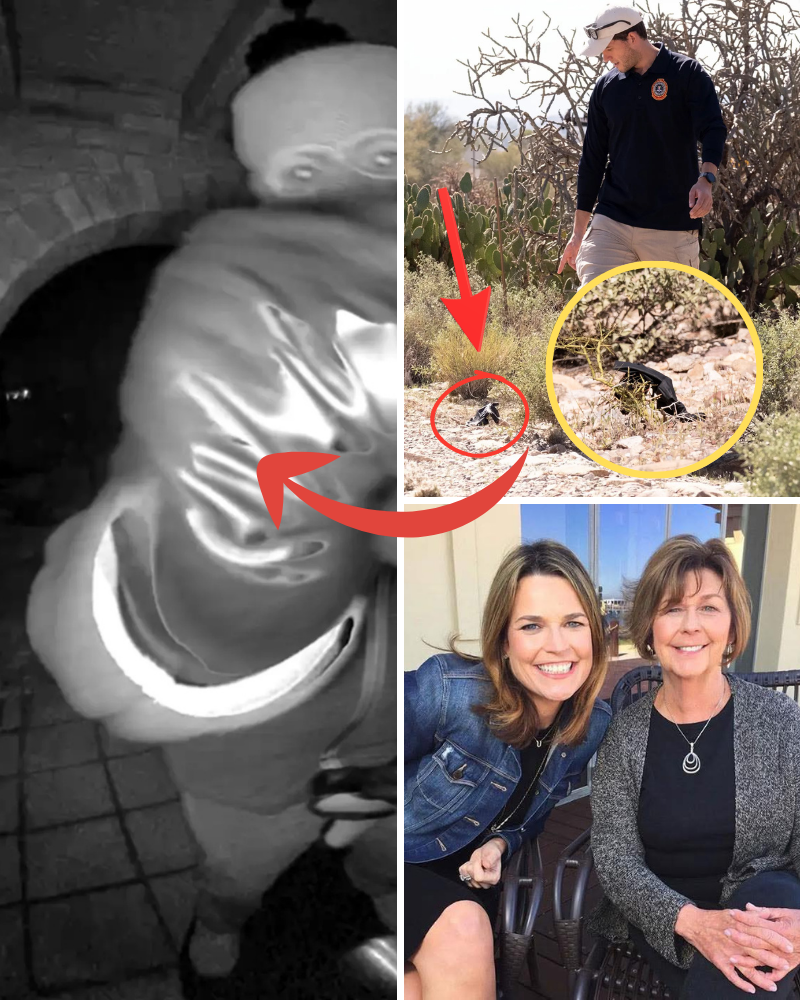 Exclusive News: DNA results from the gloves “identical to the suspect” have just been released – A turning point after 11 days of investigation?