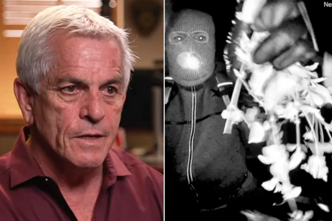 “He Has Made It Tough”: Sheriff Hints at Calculated Motive Behind Nancy Guthrie Kidnapping