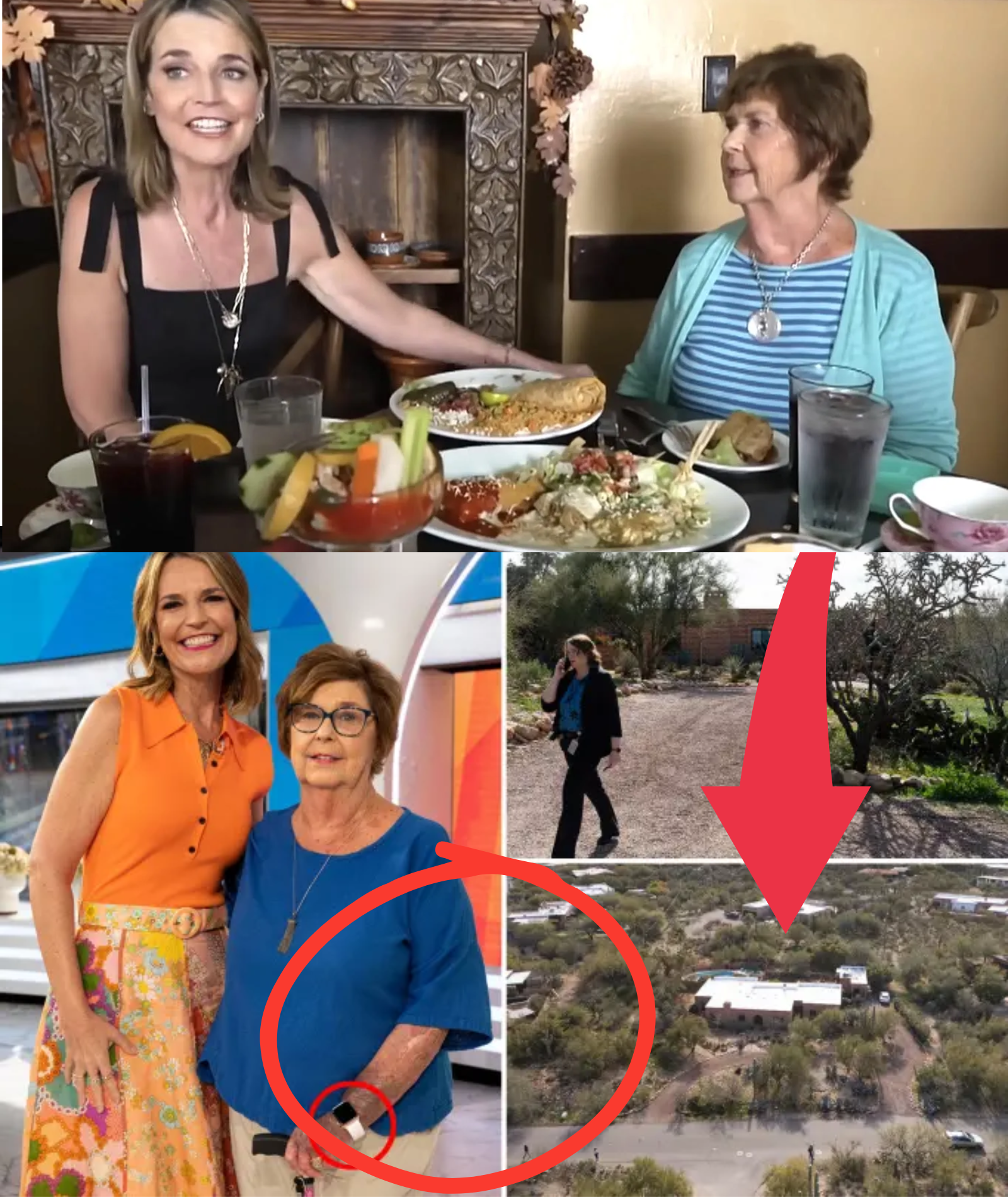 SH;;O;CKING DEVELOPMENT: Investigators say Savannah Guthrie’s missing mother, Nancy, had ‘no cognitive concerns,’ and describe her home as ‘extremely disturbing’ after officials locate THREE critical items linked to the case