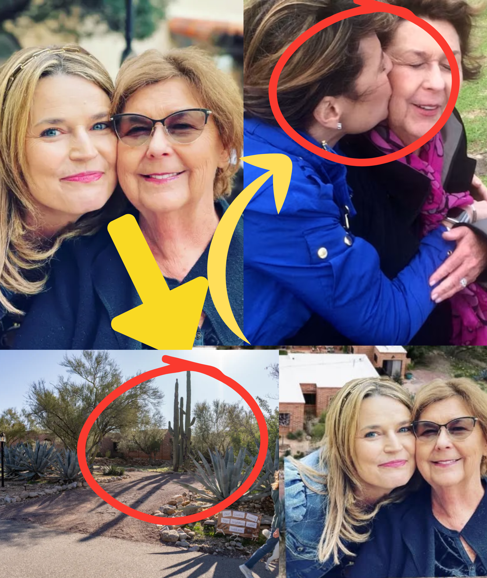 LIVE DEVELOPMENTS: Search teams stumble upon STRANGE FEMALE FOOTPRINTS pressed into the soil behind Nancy Guthrie’s residence — stunning evidence forces investigators to reopen a critical direction in the case