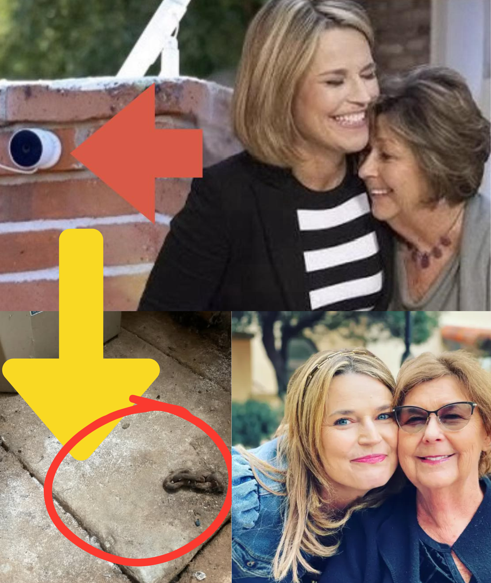 Savannah Guthrie’s mother has OFFICIALLY BEEN FOUND in a SECRET BASEMENT; she is still ALIVE and has IDENTIFIED the TWO SUSPECTS BEHIND the KIDN;A;PPING…..