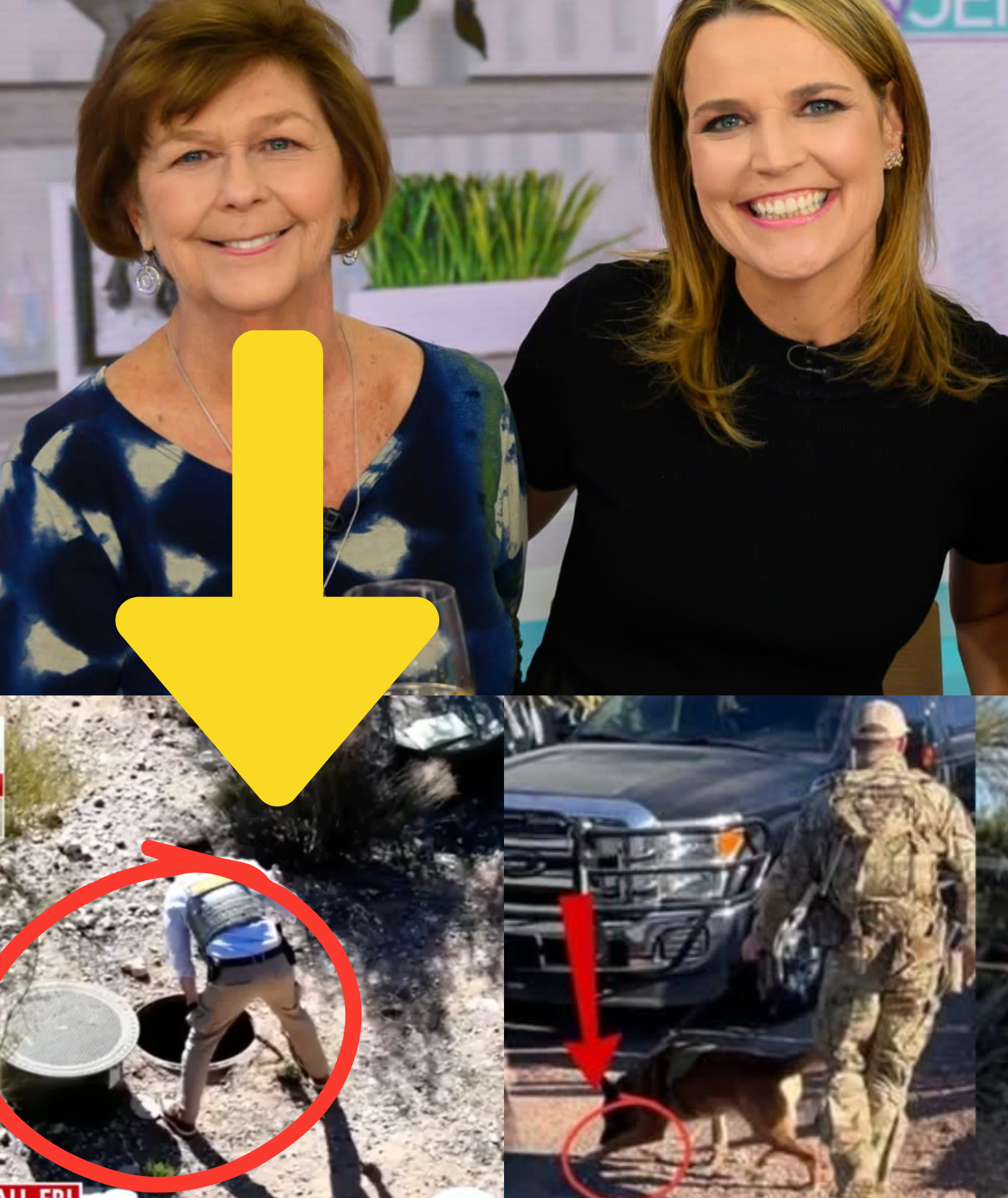 LAST UPDATES: “3 MINUTES AGO UPDATE: Savannah Guthrie’s COLLEAGUE noticed something unusual behind her mother’s house. Police brought in a K9 unit, which SEARCHED FOR 22 MINUTES AND FOUND A WOMAN’S HAIR C;L;IP…